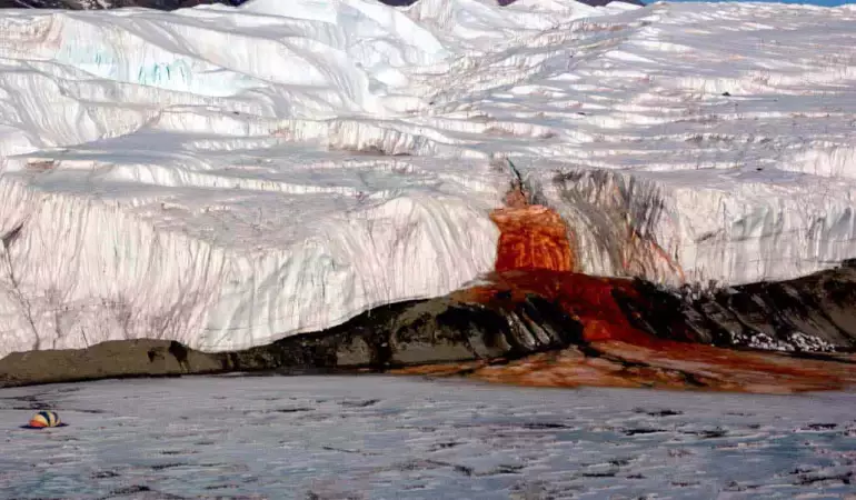 Antarctica's "Blood Falls": what's behind this mysterious phenomenon?