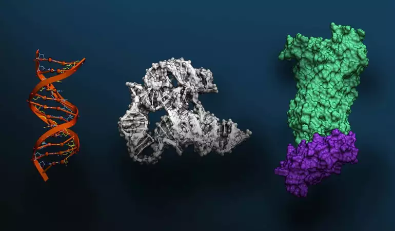 Nvidia enters genetic research with revolutionary artificial intelligence system